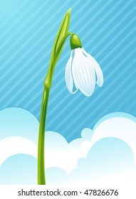 Snowdrop opposite clean blue blue sky and white clouds - high quality detailed spring illustration