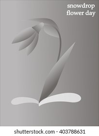 Snowdrop plant simple vector illustration. Grey gradient illustration for the snowdrop flower day. Icon, poster, card design