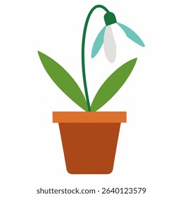 Snowdrop in a pot. Snowdrop vector ilustration.