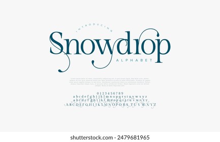 Snowdrop premium luxury elegant alphabet letters and numbers. Vintage wedding typography classic serif font decorative vintage retro. creative vector illustration