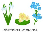 Snowdrop, primrose, forget-me-not. Three flowers isolated on a white background. Spring flower. Flat style. Colored icon set, vector Illustration, template.
