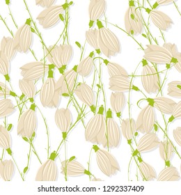 Snowdrop seamless pattern over white background