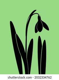 Snowdrop silhouette. Vector illustration of black silhouette of snowdrop flower and leaves isolated on green background.