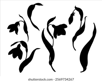 Snowdrop silhouettes vector set. Spring flowers in bloom. Black ink hand-drawn linear design of delicate white blossoms with leaves. Botanical set in contour style on isolated background.