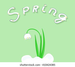 Snowdrop in snow on a green background with the word spring. Vector illustration