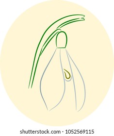 Snowdrop spring flower in a beige circle