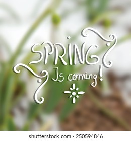 Snowdrop spring flower with snow blur background