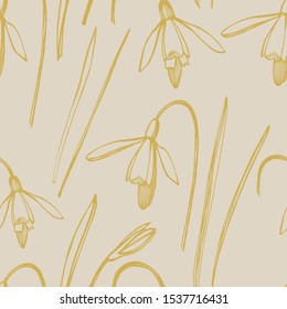 Snowdrop spring flowers. Botanical plant illustration. Vintage medicinal herbs sketch set of ink hand drawn medical herbs and plants sketch. Seamless patterns