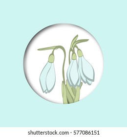 Snowdrop vector colorful botanical sketch hand drawn. Template for greeting card. Vector illustration.