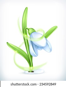 Snowdrop, vector icon