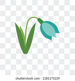 Snowdrop vector icon isolated on transparent background, Snowdrop logo concept