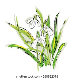 Snowdrop. Vector Illustration, eps 8