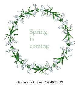 Snowdrop wreath. Spring card with white flowers and green leaves. Vector illustration