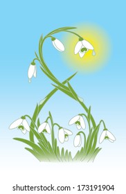Snowdrops
