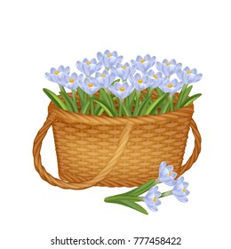 snowdrops bouquet, flowers in basket