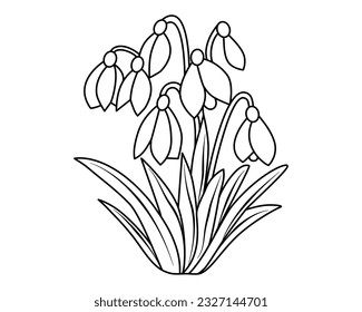 Snowdrops. Bouquet of flowers. A forest plant. Outline drawing, coloring for children. Vector. Close-up.