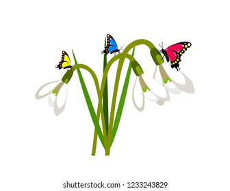 Snowdrops with butterfly