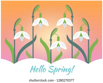 Snowdrops cover with snow in orange gradient backgrounde for any design. The first snowdrops Galanthus. Text floral design with letters