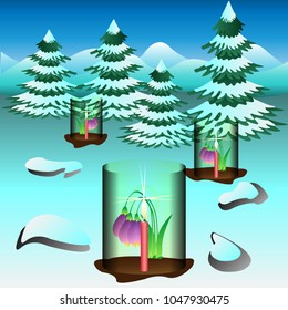 snowdrops covered and heated by candles. Vector Illustration