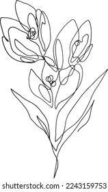 snowdrops drawing. floral sketch. one line drawn snowdrop. freehand botanical illustration. 