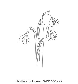 Snowdrops flower continuous line art drawing style. Snowdrop line sketch. Spring concept. Botanical floral linear design background. Hand drawn vector illustration for wedding poster, invitation card