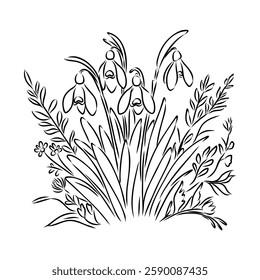 Snowdrops flower continuous line art drawing style. Snowdrop line sketch. Spring concept.