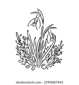 Snowdrops flower continuous line art drawing style. Snowdrop line sketch. Spring concept.