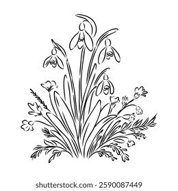 Snowdrops flower continuous line art drawing style. Snowdrop line sketch. Spring concept.