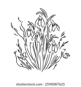 Snowdrops flower continuous line art drawing style. Snowdrop line sketch. Spring concept.
