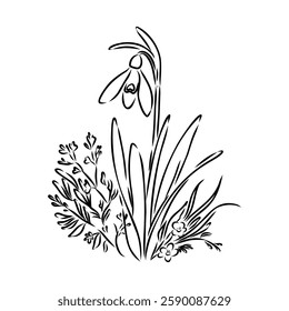 Snowdrops flower continuous line art drawing style. Snowdrop line sketch. Spring concept.