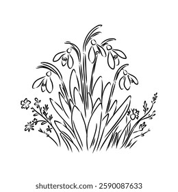 Snowdrops flower continuous line art drawing style. Snowdrop line sketch. Spring concept.