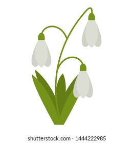 Snowdrops flower flat icon, wild flowers, plant vector illustration isolated on white background