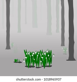 
Snowdrops in a misty forest. Vector illustration