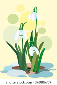 Snowdrops on a abstract background. Spring illustration. Illustration of flowers. Spring. Vector illustration