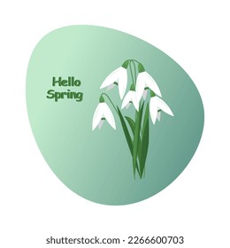 gotas de nieve sobre un fondo azul.ilustración vectorial de flores