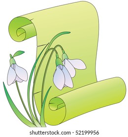 snowdrops scroll