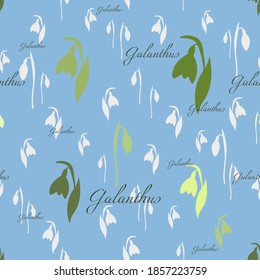 Der Schneefall ist nahtlos. Abstrakte Ornamente mit Frühlingsblumen Silhouetten und Galanthus-Text.