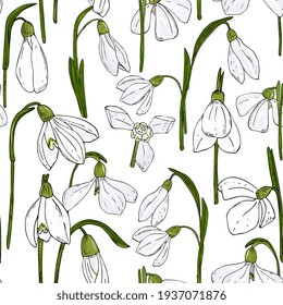snowdrops  seamless pattern. Floral background first spring flowers. Hand drawing in ink. Festive background for fabric, packaging, wrappers.