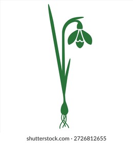 Snowdrops es similar a un código de barras QR. Primavera, Día de San Valentín