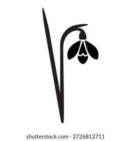 Snowdrops es similar a un código de barras QR. Primavera, Día de San Valentín