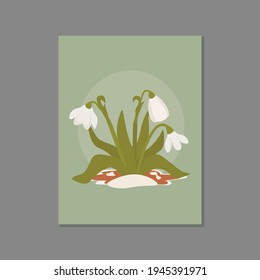 Snowdrops in the snow. Symbol of the arrival of spring. The first flowers.Vector illustration can be used like postcard or decoration.