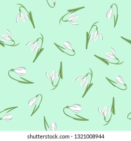 Snowdrops. spring background.vector image