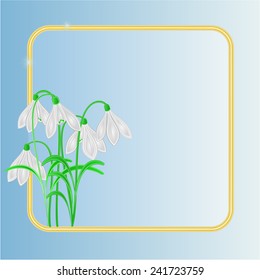Snowdrops spring flower frame place for text vector