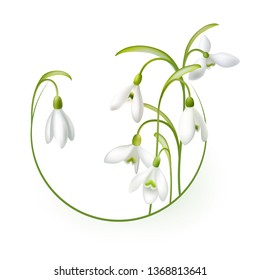 snowdrops. Spring fragrance. Spring Flower.
Happy Mother's Day Template. Greeting card. Springtime. Vector illustration.