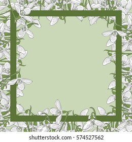 Snowdrops in a square frame, vector illustration