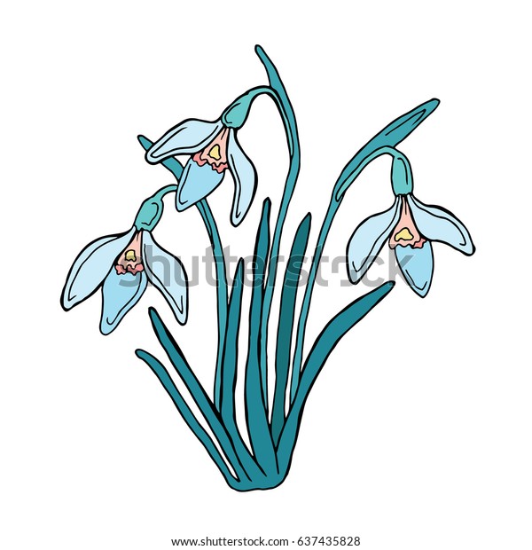 Snowdrops Vector Illustration Doodle Style Isolated Stock Vector ...