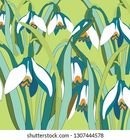 Snowdrops. Vector illustration of snowdrops on soft green background