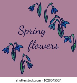 Snowdrops. Vector image of a spring flower.