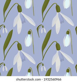 Snowdrops vector on blue background, spring snowdrops on blue background seamless pattern. Snowdrops print