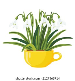 Snowdrops in a yellow cup. Vector illustration